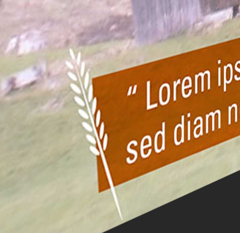 Farmers Forever Bauchbinde für Untertitel